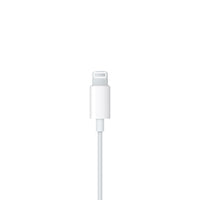 EarPods (Lightning Connector) (LEBANON ONLY)
