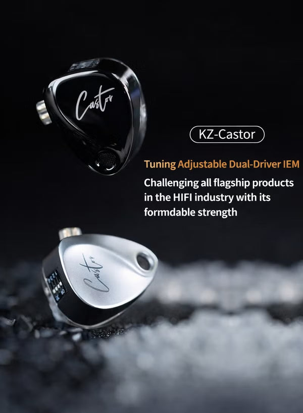سماعات Z Castor Harman IEM بنسخة الهدف – سماعات في الأذن مع محركات ديناميكية مزدوجة (10mm + 8mm)، صوت قابل للضبط مع 4 مفاتيح ضبط (16 ملف صوتي)، عزل الضوضاء، 3.5mm، 2-Pin بـ 0.75mm، فضي مع ميكروفون