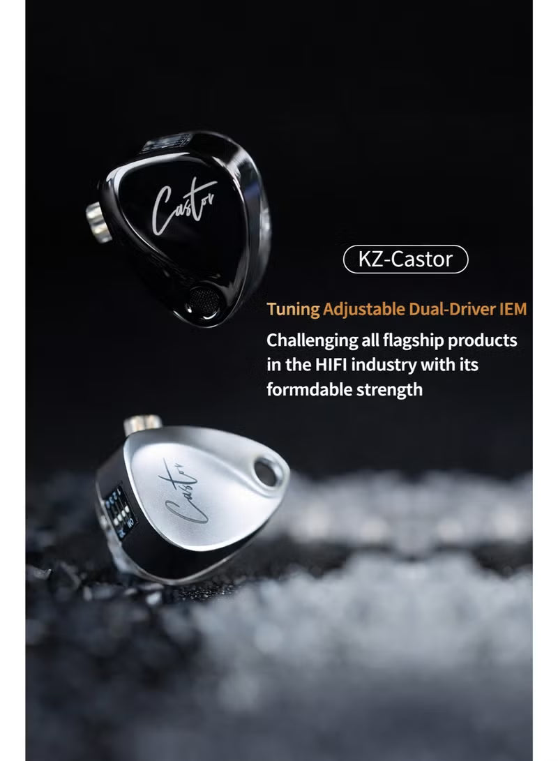 Z Castor Harman IEM Target Version IEM In-Ear Earphones – Dual Dynamic Drivers (10mm + 8mm), Tunable Sound with 4 Adjustment Switches (16 Profiles), Noise Isolating, 3.5mm, 0.75mm 2-Pin, Silver With Mic